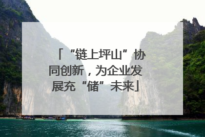 “链上坪山”协同创新，为企业发展充“储”未来