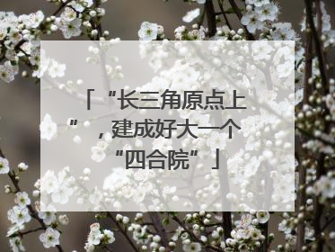 “长三角原点上”，建成好大一个“四合院”