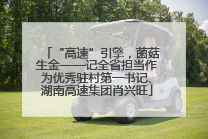 “高速”引擎，菌菇生金——记全省担当作为优秀驻村第一书记、湖南高速集团肖兴旺