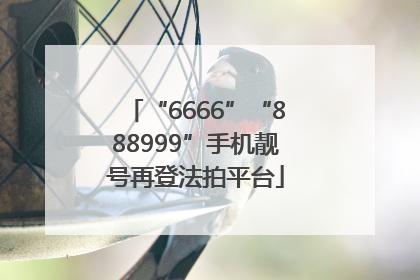 “6666”“888999”手机靓号再登法拍平台