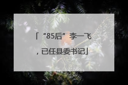 “85后”李一飞，已任县委书记