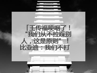 王传福哽咽了！“我们从不拉踩别人，这是原则”！比亚迪：我们不打价格战
