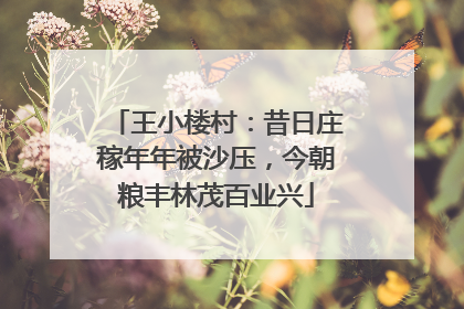 王小楼村：昔日庄稼年年被沙压，今朝粮丰林茂百业兴