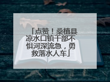 点赞！桑植县凉水口镇干部不惧河深流急，勇救落水人车