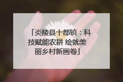 炎陵县十都镇：科技赋能农耕 绘就美丽乡村新画卷