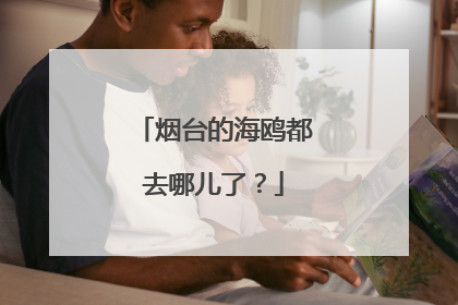 烟台的海鸥都去哪儿了？