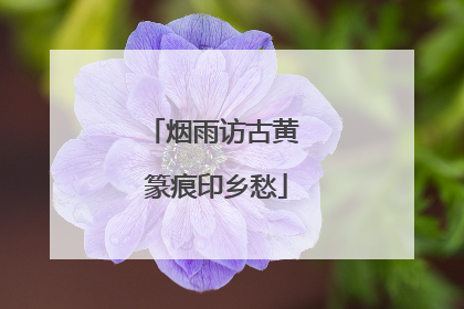 烟雨访古黄 篆痕印乡愁