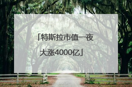 特斯拉市值一夜大涨4000亿