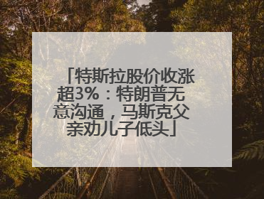 特斯拉股价收涨超3%：特朗普无意沟通，马斯克父亲劝儿子低头