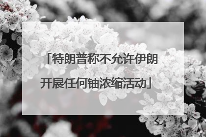 特朗普称不允许伊朗开展任何铀浓缩活动
