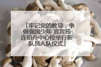牢记党的教导，争做强国少年 宜宾筠连镇舟中心校举行新队员入队仪式