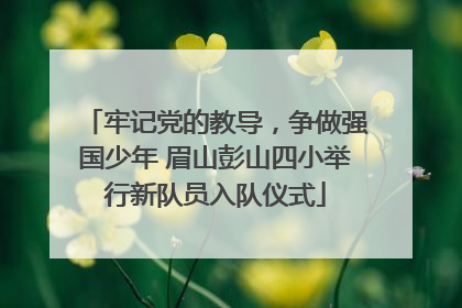 牢记党的教导，争做强国少年 眉山彭山四小举行新队员入队仪式