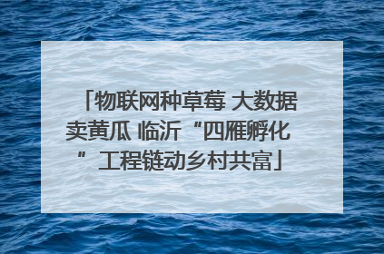 物联网种草莓 大数据卖黄瓜 临沂“四雁孵化”工程链动乡村共富
