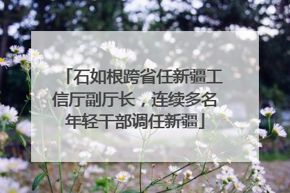 石如根跨省任新疆工信厅副厅长，连续多名年轻干部调任新疆