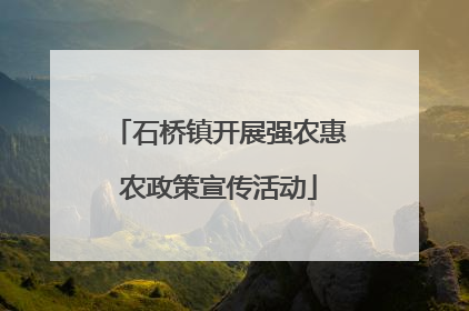 石桥镇开展强农惠农政策宣传活动