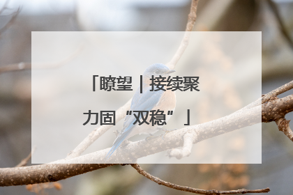 瞭望｜接续聚力固“双稳”