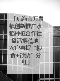 琼海市万泉镇创新推广水稻种植合作社盘活撂荒地 农户喜提“粮食+钞票”分红