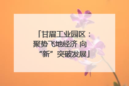 甘眉工业园区：聚势飞地经济 向“新”突破发展