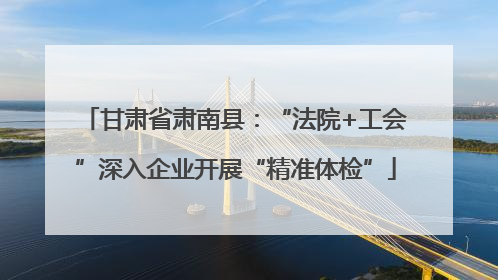 甘肃省肃南县：“法院+工会”深入企业开展“精准体检”