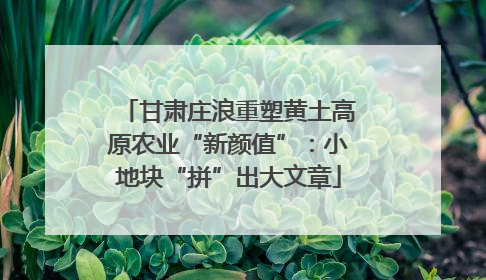 甘肃庄浪重塑黄土高原农业“新颜值”：小地块“拼”出大文章