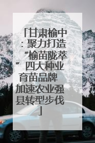 甘肃榆中：聚力打造“榆苗陇萃”四大种业育苗品牌 加速农业强县转型步伐