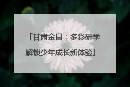 甘肃金昌：多彩研学解锁少年成长新体验