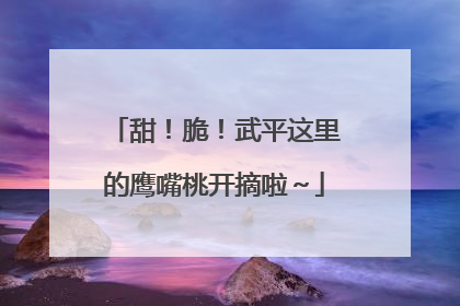 甜！脆！武平这里的鹰嘴桃开摘啦～
