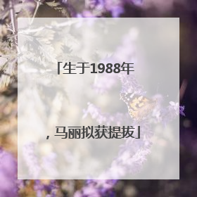 生于1988年，马丽拟获提拔