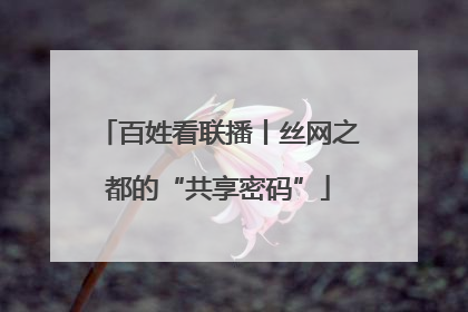 百姓看联播丨丝网之都的“共享密码”