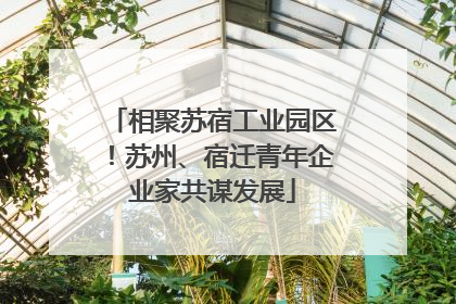 相聚苏宿工业园区！苏州、宿迁青年企业家共谋发展