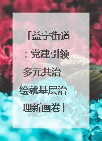 益宁街道：党建引领多元共治 绘就基层治理新画卷