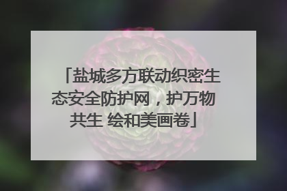 盐城多方联动织密生态安全防护网，护万物共生 绘和美画卷