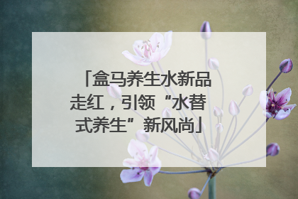 盒马养生水新品走红，引领“水替式养生”新风尚