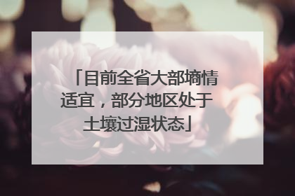 目前全省大部墒情适宜，部分地区处于土壤过湿状态