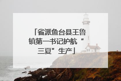 省派鱼台县王鲁镇第一书记护航“三夏”生产
