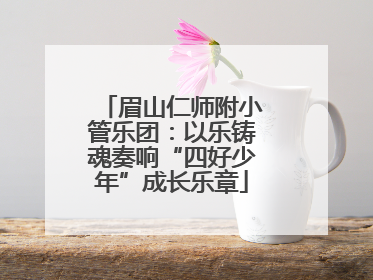 眉山仁师附小管乐团：以乐铸魂奏响“四好少年”成长乐章
