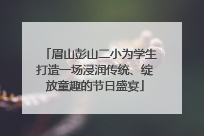 眉山彭山二小为学生打造一场浸润传统、绽放童趣的节日盛宴