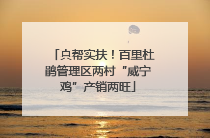 真帮实扶！百里杜鹃管理区两村“威宁鸡”产销两旺