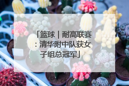 篮球｜耐高联赛：清华附中队获女子组总冠军