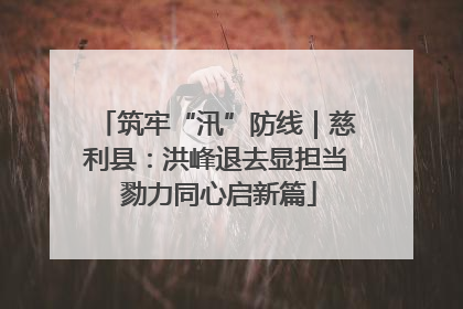 筑牢“汛”防线｜慈利县：洪峰退去显担当 勠力同心启新篇