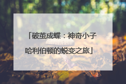 破茧成蝶：神奇小子哈利伯顿的蜕变之旅