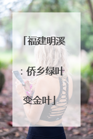 福建明溪：侨乡绿叶变金叶