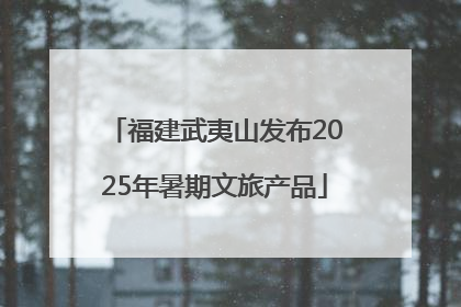 福建武夷山发布2025年暑期文旅产品