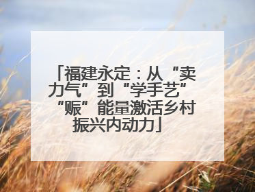 福建永定：从“卖力气”到“学手艺”“赈”能量激活乡村振兴内动力