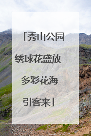 秀山公园绣球花盛放 多彩花海引客来