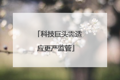 科技巨头需适应更严监管