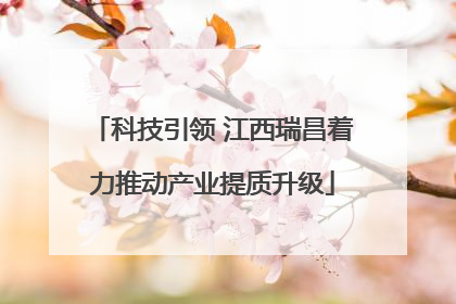 科技引领 江西瑞昌着力推动产业提质升级
