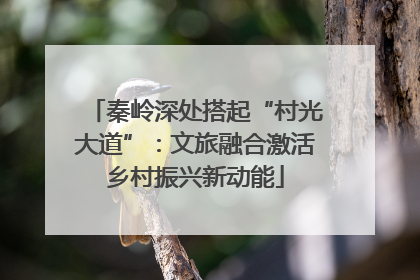 秦岭深处搭起“村光大道”：文旅融合激活乡村振兴新动能