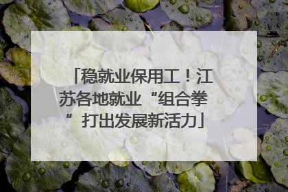 稳就业保用工！江苏各地就业“组合拳”打出发展新活力