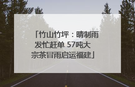 竹山竹坪：晴制雨发忙赶单 57吨大宗茶冒雨启运福建